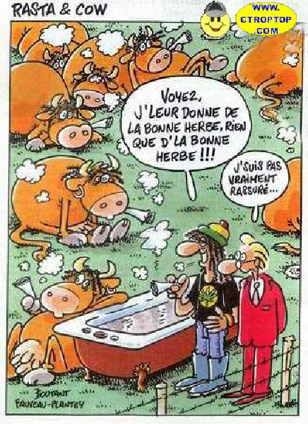 image drole canabis-humourenvrac